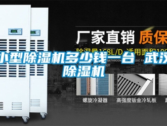 行业资讯小型除湿机多少钱一台 武汉除湿机
