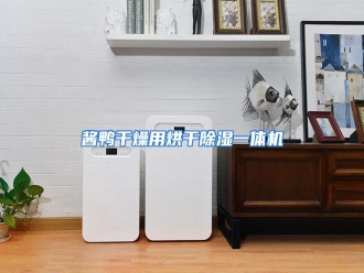 行业资讯酱鸭干燥用烘干除湿一体机