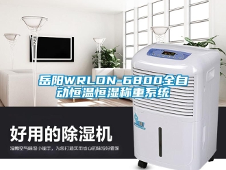 知识百科岳阳WRLDN-6800全自动恒温恒湿称重系统