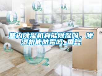 行业资讯室内除湿机真能除湿吗，除湿机能防霉吗_重复