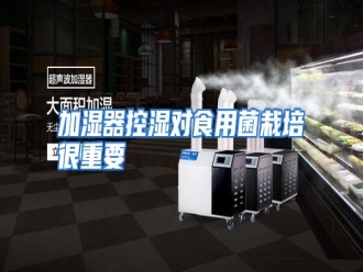知识百科加湿器控湿对食用菌栽培很重要