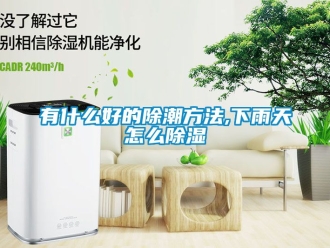 企业动态有什么好的除潮方法,下雨天怎么除湿