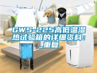 常见问题GWS-225高低温湿热试验箱的详细资料：_重复