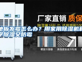 常见问题地板发霉怎么办？用家用除湿机科学除湿又防霉