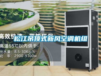 企业动态松江吊顶式新风空调机组