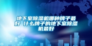 地下室除湿机哪种牌子最好 什么牌子的地下室除湿机最好