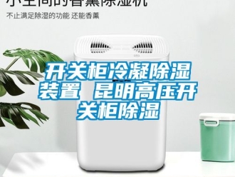 行业资讯开关柜冷凝除湿装置 昆明高压开关柜除湿