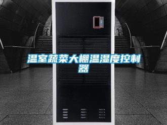 企业动态温室蔬菜大棚温湿度控制器