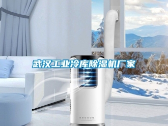企业动态武汉工业冷库除湿机厂家