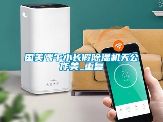 行业资讯国美端午小长假除湿机天公作美_重复