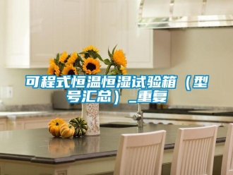 知识百科可程式恒温恒湿试验箱（型号汇总）_重复