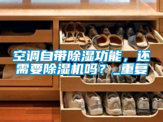 行业资讯空调自带除湿功能，还需要除湿机吗？_重复