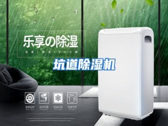 行业资讯坑道除湿机