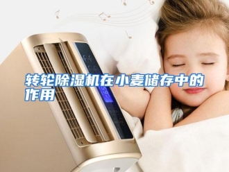 常见问题转轮除湿机在小麦储存中的作用