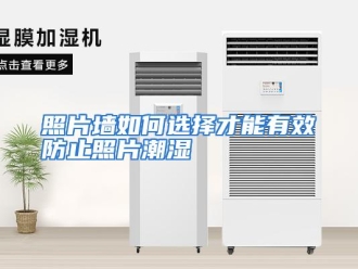 常见问题照片墙如何选择才能有效防止照片潮湿