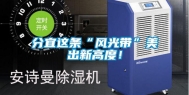 分宜这条“风光带”美出新高度！