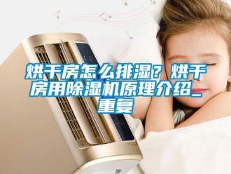 行业资讯烘干房怎么排湿？烘干房用除湿机原理介绍_重复