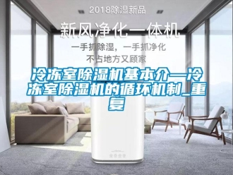 行业资讯冷冻室除湿机基本介—冷冻室除湿机的循环机制_重复