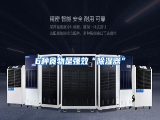 知识百科6种食物是强效“除湿器”