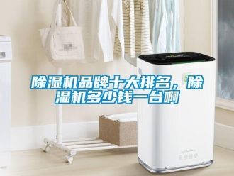 常见问题除湿机品牌十大排名，除湿机多少钱一台啊