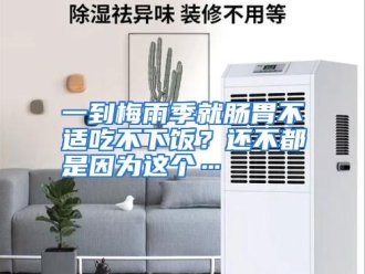 行业资讯一到梅雨季就肠胃不适吃不下饭？还不都是因为这个…
