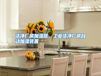行业资讯洁净厂房加湿器，工业洁净厂房自动加湿装置