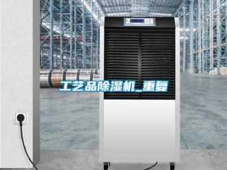 行业资讯工艺品除湿机_重复