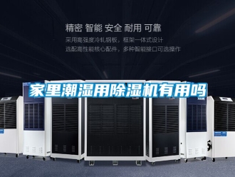 行业资讯家里潮湿用除湿机有用吗