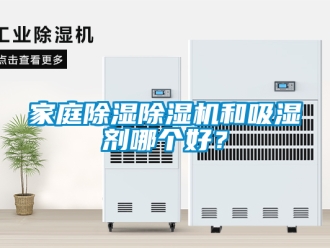 行业资讯家庭除湿除湿机和吸湿剂哪个好？