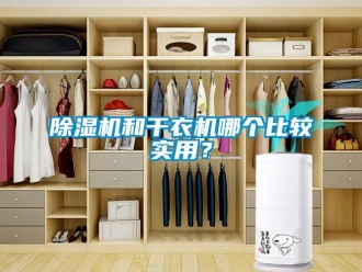 常见问题除湿机和干衣机哪个比较实用？