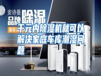 行业资讯千元内除湿机就可以解决家庭车库潮湿问题