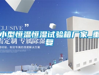 知识百科小型恒温恒湿试验箱厂家_重复