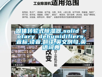 行业资讯固体转轮式除湿器,solid rotary dehumidifiers,音标,读音,翻译,英文例句,英语词典