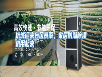 知识百科杭城迎来台风暴雨，家居防潮除湿机用起来