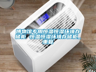 知识百科博物馆专用恒温恒湿环境存储柜 恒温恒湿环境存储柜_重复