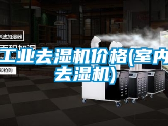 行业资讯工业去湿机价格(室内去湿机)