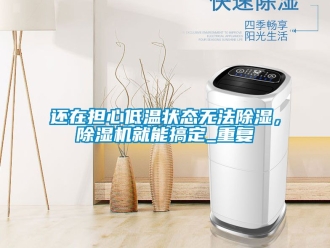 行业资讯还在担心低温状态无法除湿，除湿机就能搞定_重复