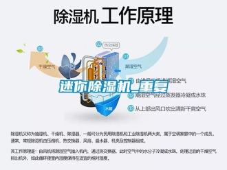 行业资讯迷你除湿机_重复