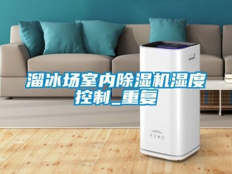 行业资讯溜冰场室内除湿机湿度控制_重复