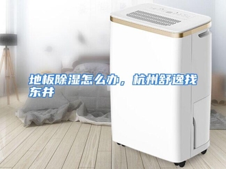 常见问题地板除湿怎么办，杭州舒逸找东井