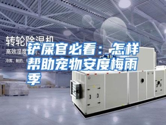 知识百科铲屎官必看：怎样帮助宠物安度梅雨季