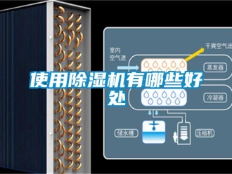 行业资讯使用除湿机有哪些好处