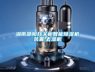 行业资讯湖南邵阳开关柜智能除湿机装置,去湿机