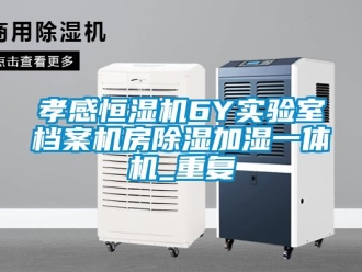 知识百科孝感恒湿机6Y实验室档案机房除湿加湿一体机_重复