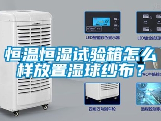 知识百科恒温恒湿试验箱怎么样放置湿球纱布？