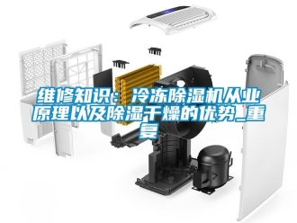 行业资讯维修知识：冷冻除湿机从业原理以及除湿干燥的优势_重复