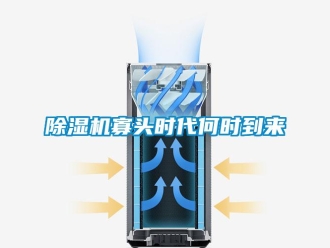 常见问题除湿机寡头时代何时到来