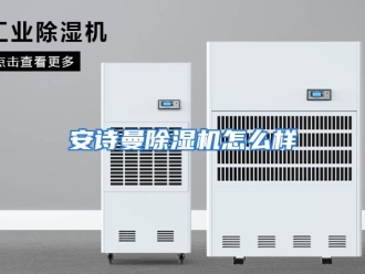 常见问题安诗曼除湿机怎么样