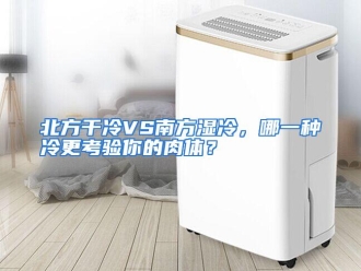 常见问题北方干冷VS南方湿冷，哪一种冷更考验你的肉体？