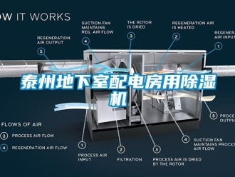 行业资讯泰州地下室配电房用除湿机